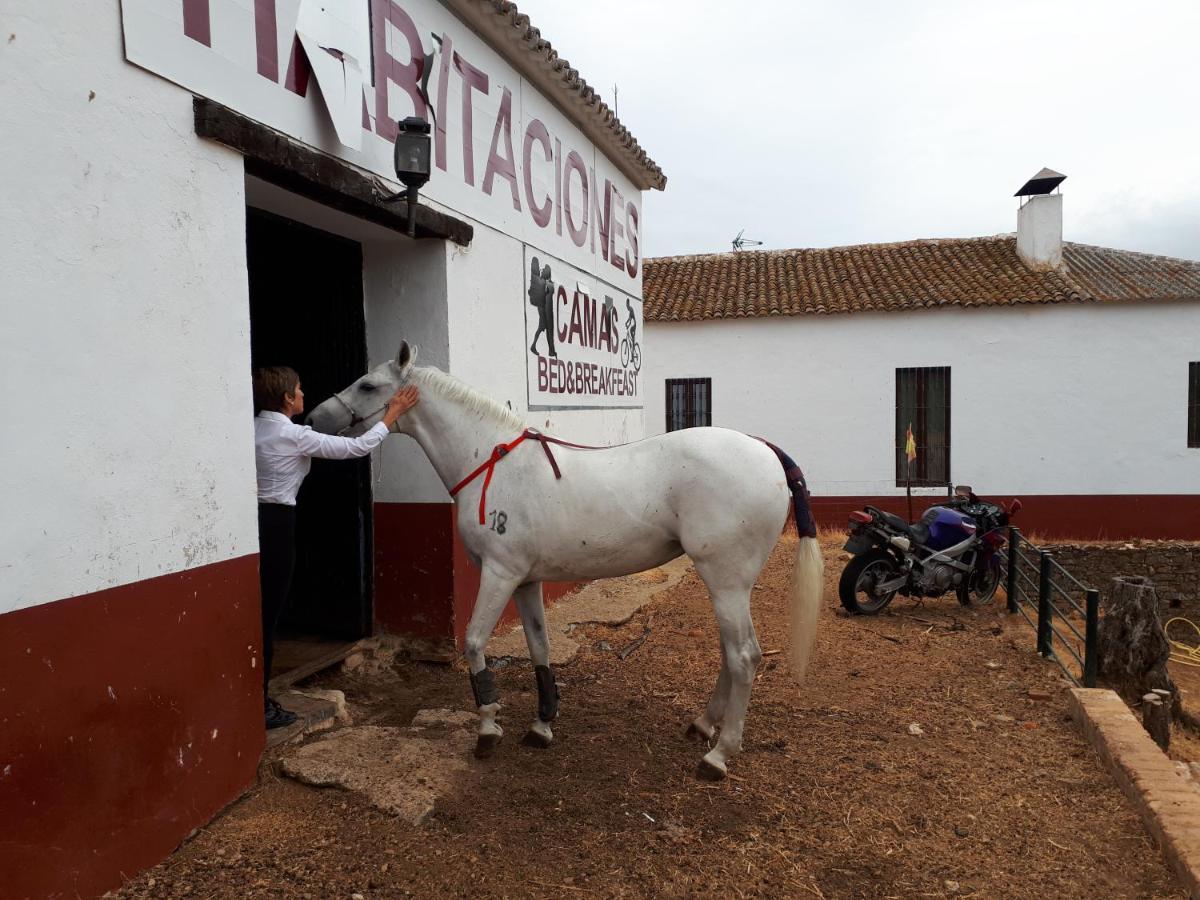 Finca la Carnicera Constantina Exterior foto